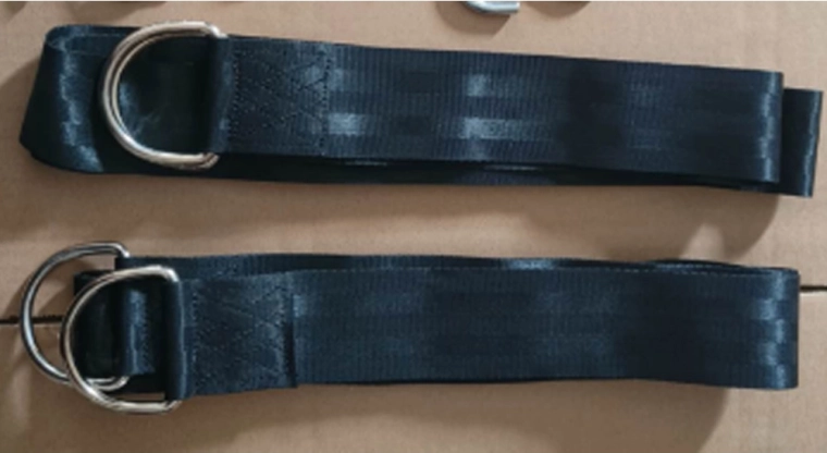 Sunwaal Hanging Straps for Hanging Chairs, 2 m, Set of 2 with Carabiners