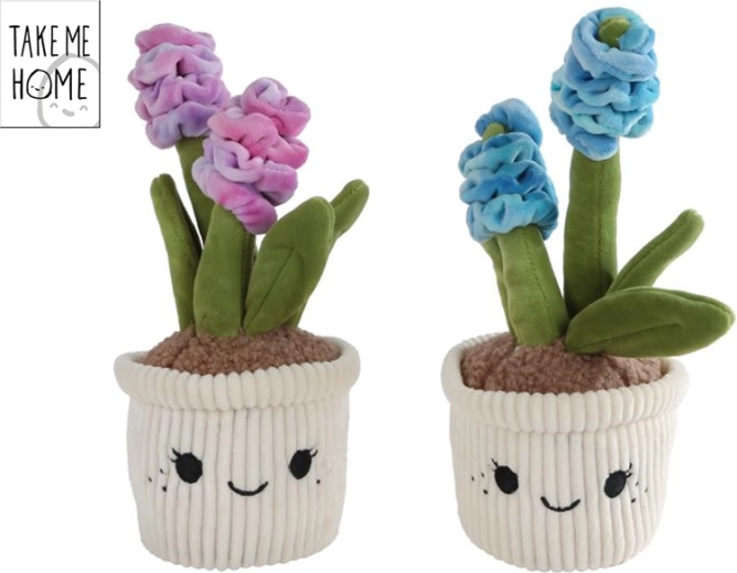 Jacinthe en peluche Take Me Home 26,5 cm