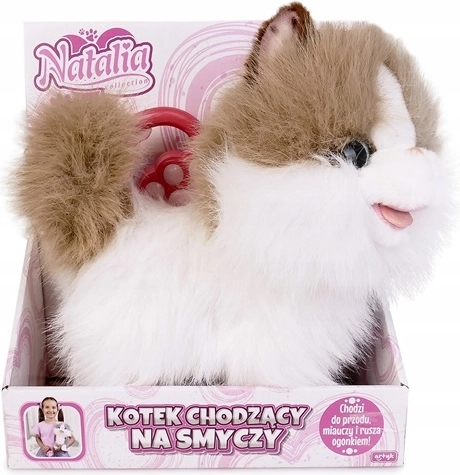 Natalia leash cat, white-and-ginger