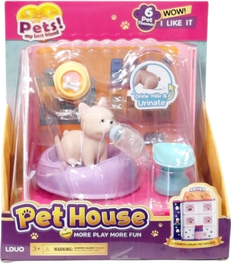 Dog with accessories