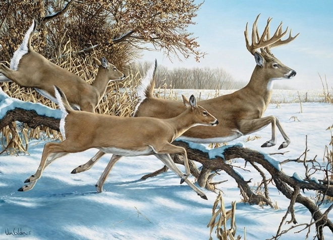 COBBLE HILL Escape jigsaw puzzle – 1000 pieces