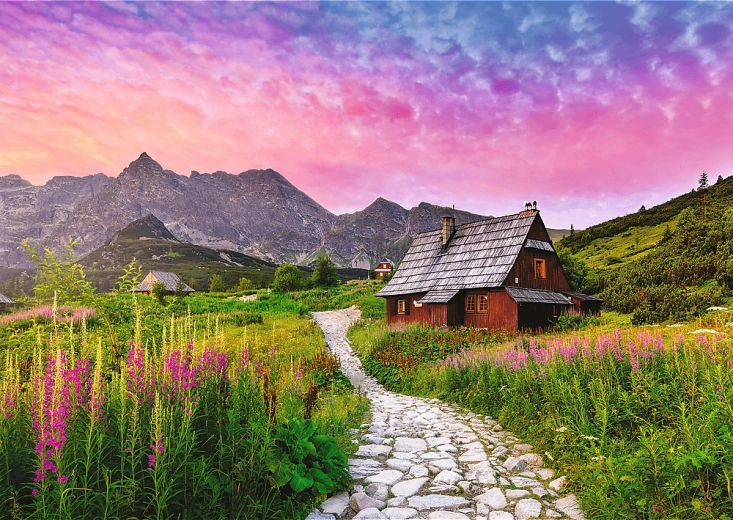 Trefl puzzel Hala Gąsienicowa 500 stukjes