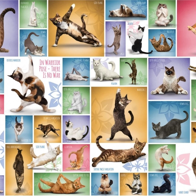 Puzzel Kattenyoga 1000 stukjes