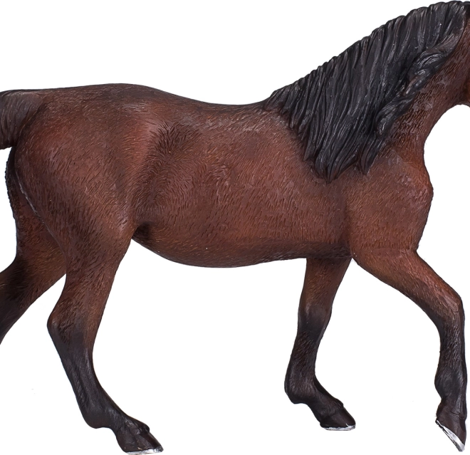 Morgan Palomino Horse