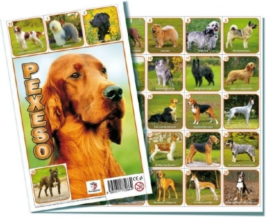 Pexeso Honden gezelschapsspel
