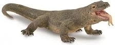 Komodovaraan-figuur
