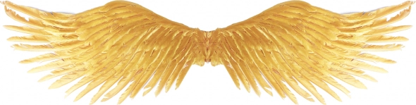 Gouden engelenvleugels