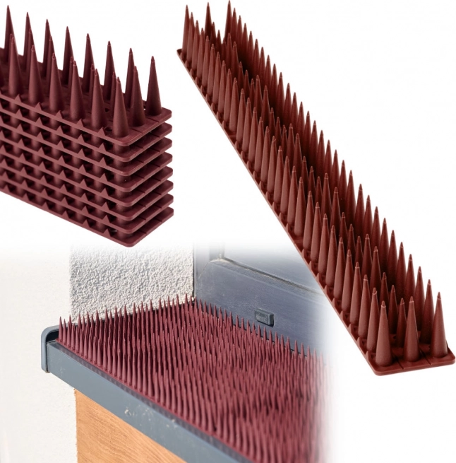 Pointes anti-oiseaux en plastique, marron, lattes modulaires 8 pcs