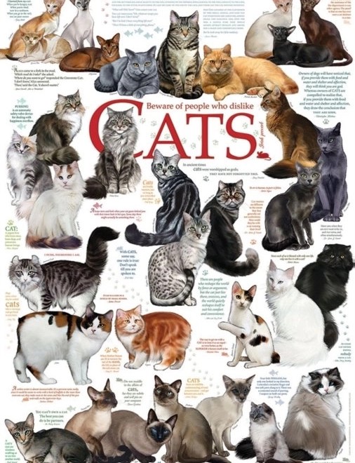 Puzzle Katzensprüche 1000 Teile COBBLE HILL