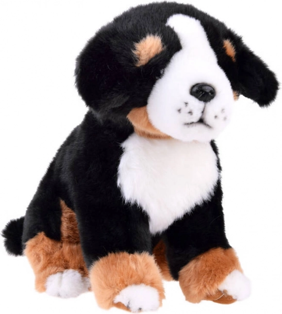 Plush Dog Bernese Mountain - Sitting 20 cm