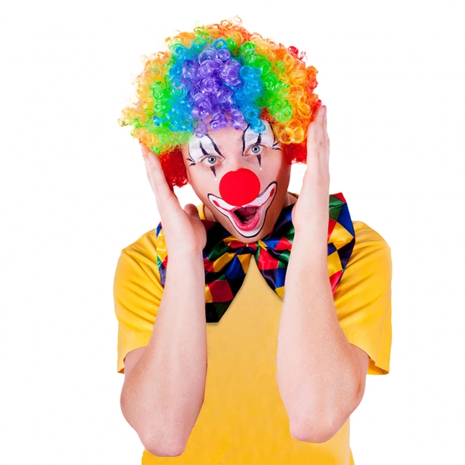 Kleurrijke Clownpruik voor volwassenen