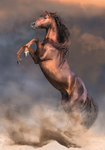 Puzzle Étalon rouge sauvage 500 pièces