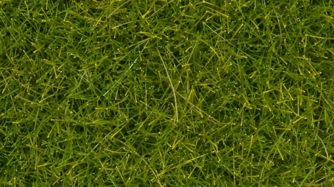 Noch statisch gras wild lichtgroen 12 mm