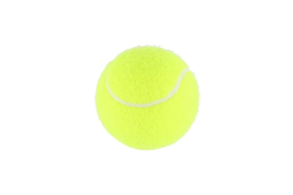 Ballons de tennis récréatif