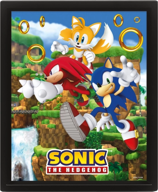 3D Picture SONIC – Catching Rings
