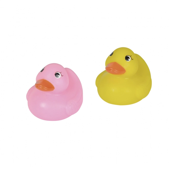 Eendjes voor in het water in een netje