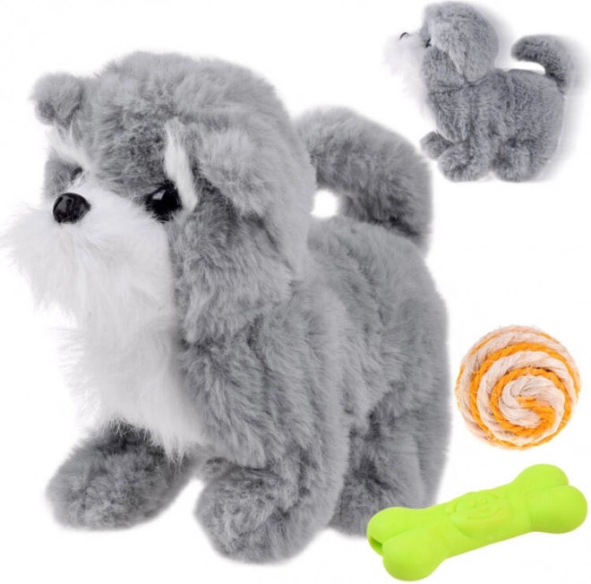 Interactive Gray Dog