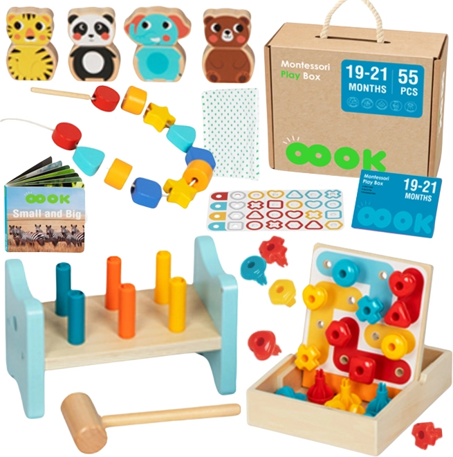 Educational Montessori Box for Children 19-21 Months - TOOKY TOY