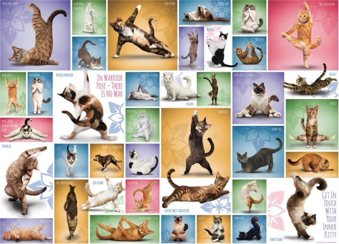 Puzzel Kattenyoga 1000 stukjes