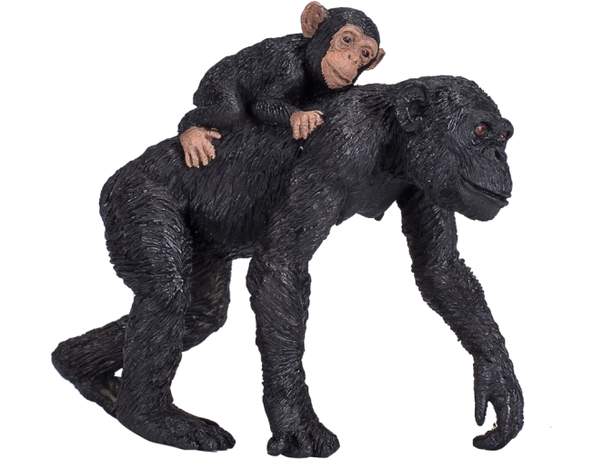 Mojo Chimpansee met Jong