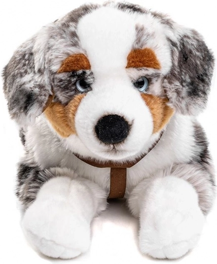 Harnais pour encore plus de fun