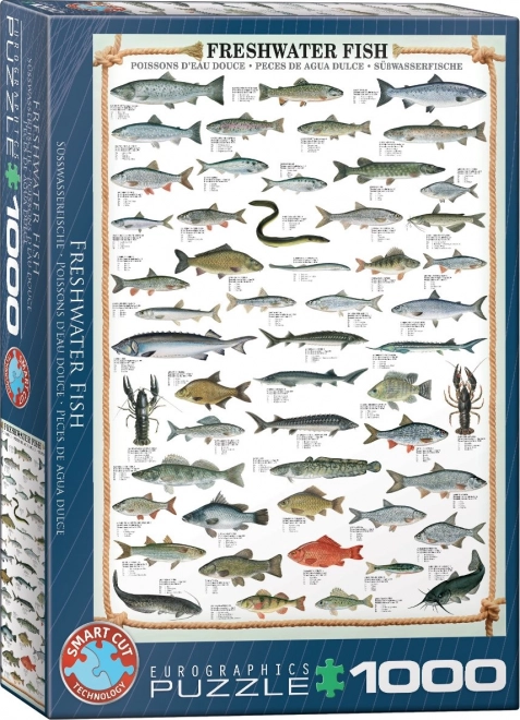 EUROGRAPHICS Puzzel Zoetwatervissen 1000 Stukjes