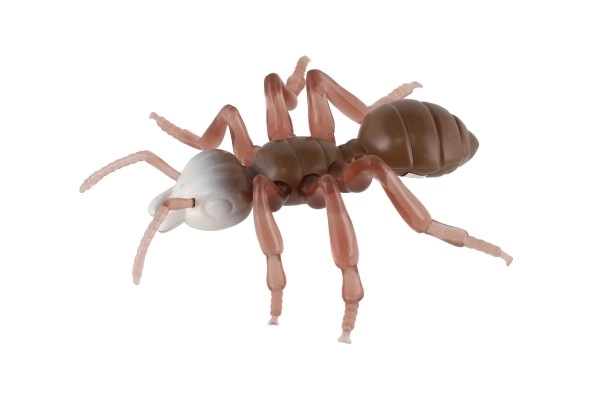 Anti-stress Ant