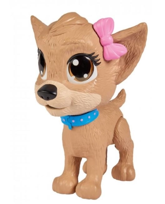 CCL Hondje Chihuahua Pii Pii