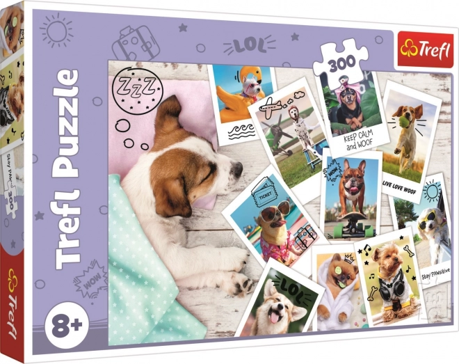 Puzzle 300 Pieces - Vacation Photos