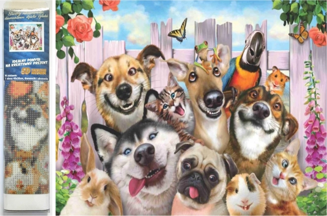 NORIMPEX Diamantschilderen Gekke Selfie 30x40cm