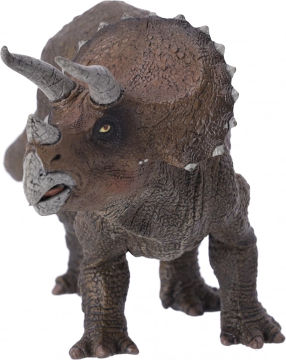 Perfect for All Ages