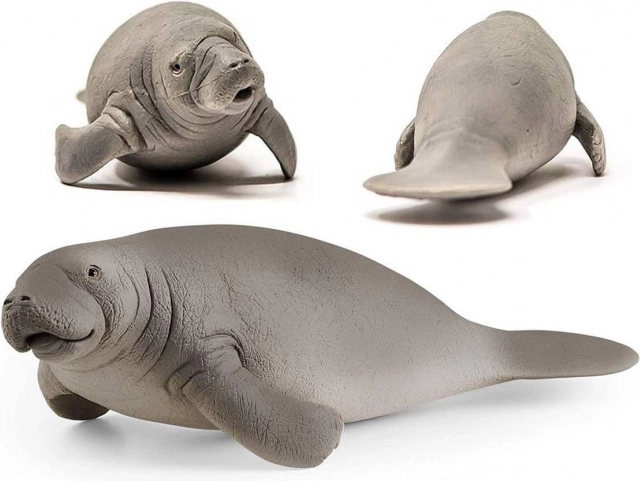 Schleich Manatee Wild Life figurine