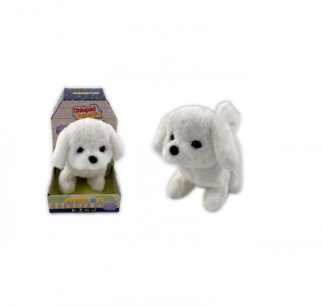 Chiot à piles, blanc