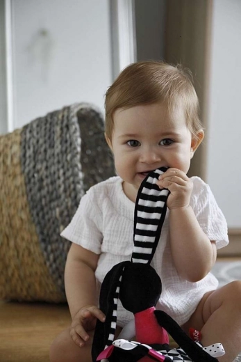 Varied textures and crinkly elements