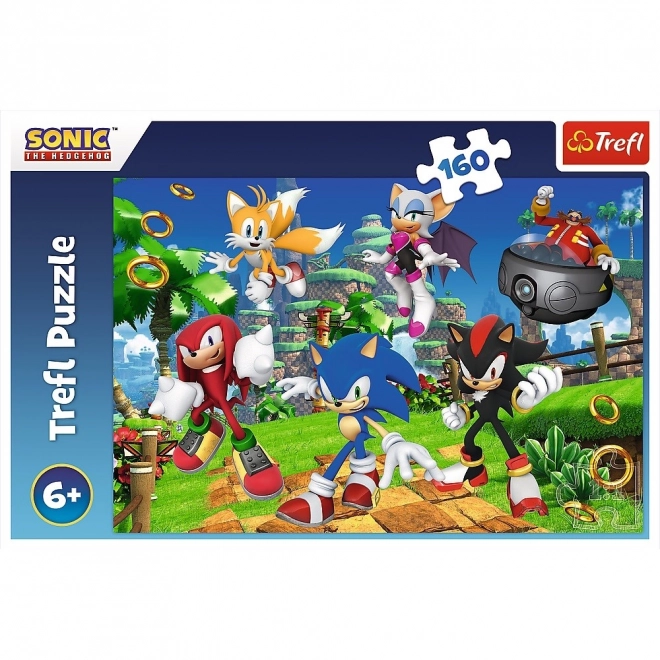 Puzzle Sonic and Friends 160 Pieces