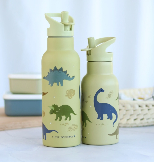 A Little Lovely Company Stainless steel drinking bottle 500 ml – Dinosaurs