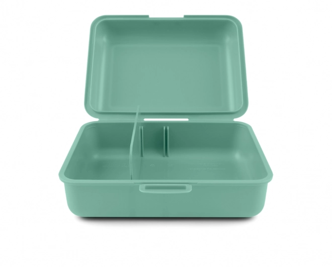 Lunchbox groen