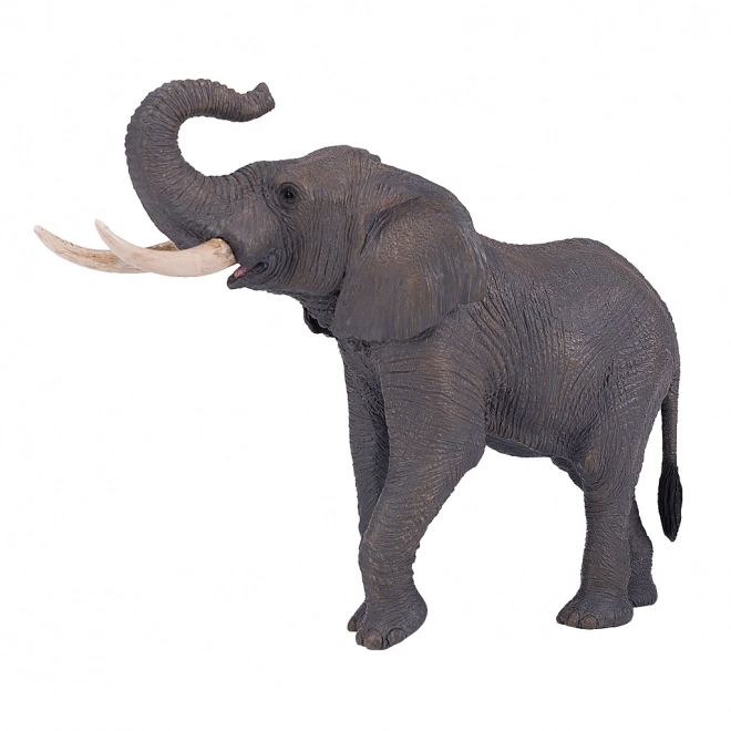 Mojo Afrikaanse Olifant