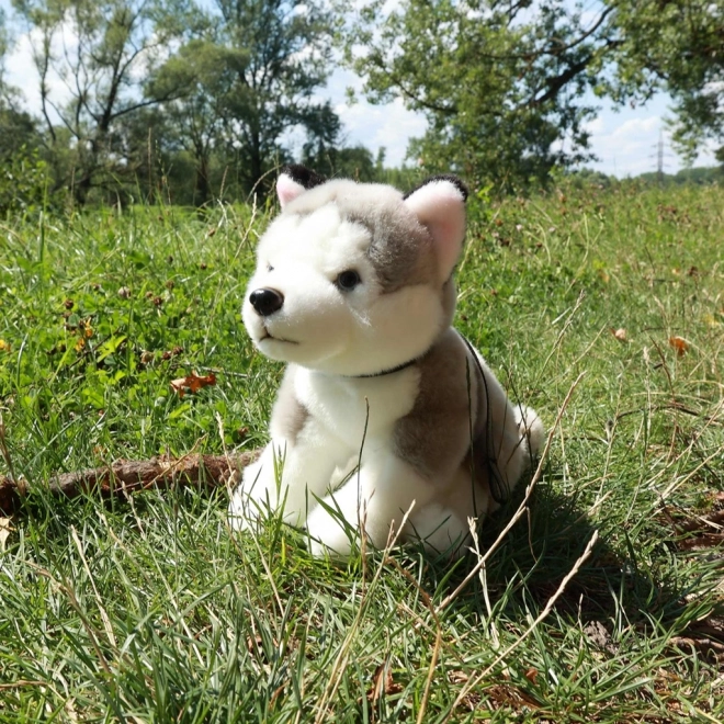 Plüschhund Husky mit Leine 28 cm von Rappa