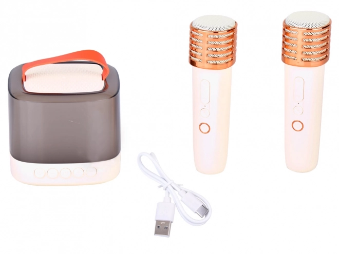 Microfoon met draadloze luidspreker en Bluetooth