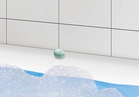Shell with suction cup for smooth surfaces