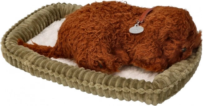 Perfect Cuddly Pet Sleeping Puppy Poodle
