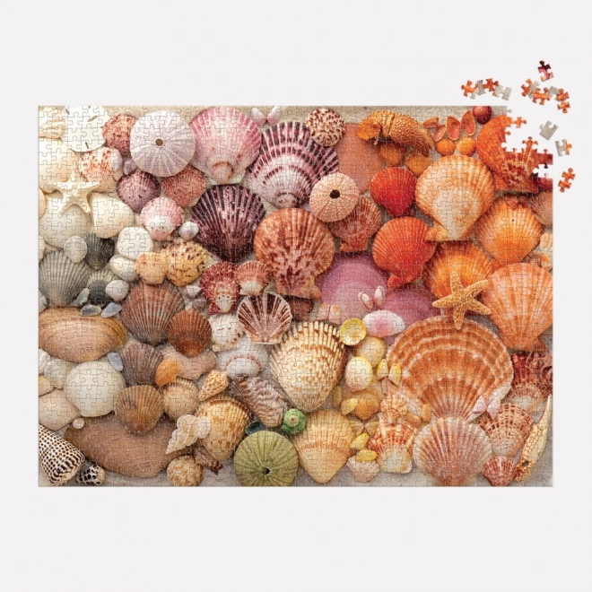 Puzzle Leuchtende Muscheln 1000 Teile
