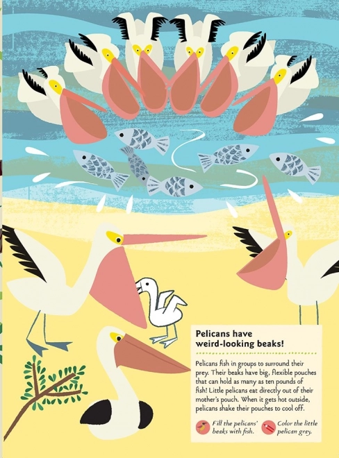 Chronicle Boeken Activiteitenboek met stickers mijn natuur Vogels van de wereld