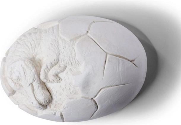 Dinosaur Egg Excavation Kit