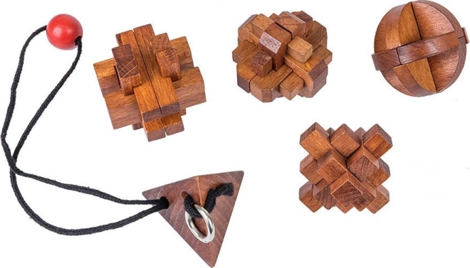 Professor Puzzle Grote Geesten: Beroemde Vrouwen 5-in-1