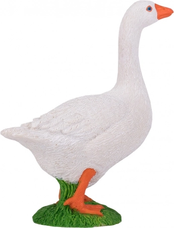 Vielseitige Verwendung