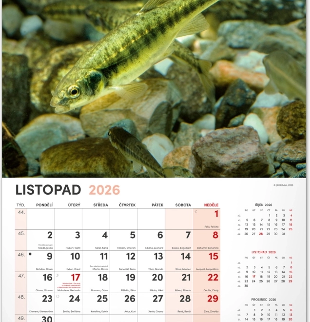 Wandkalender Visserij 2026