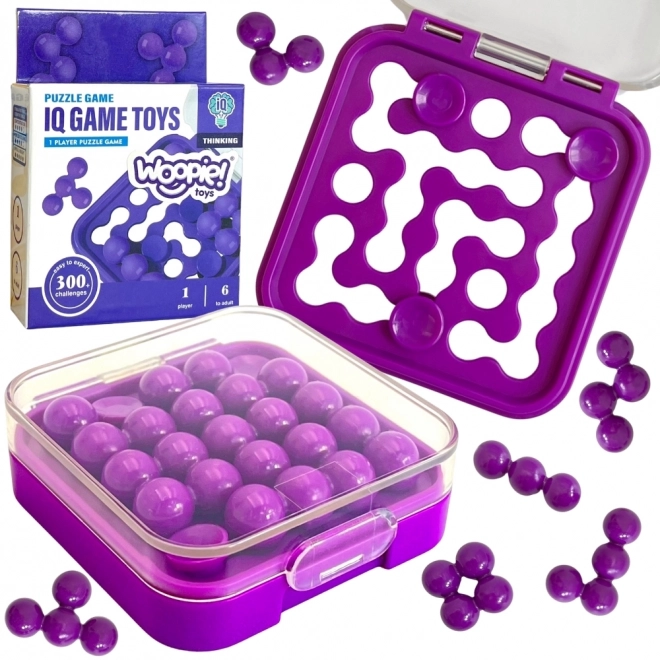 Logisch spel en puzzel WOOPIE IQ
