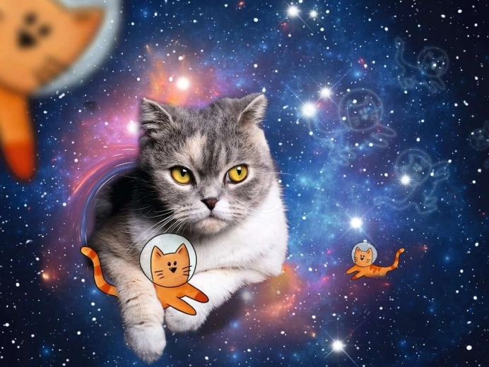 Puzzel Kat in de Ruimte 1500 stukjes